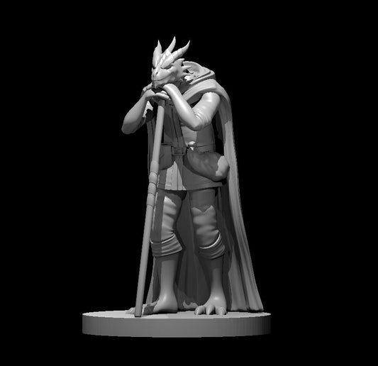 Male Dragonborn Druid - YourMiniature Tabletop Figuren