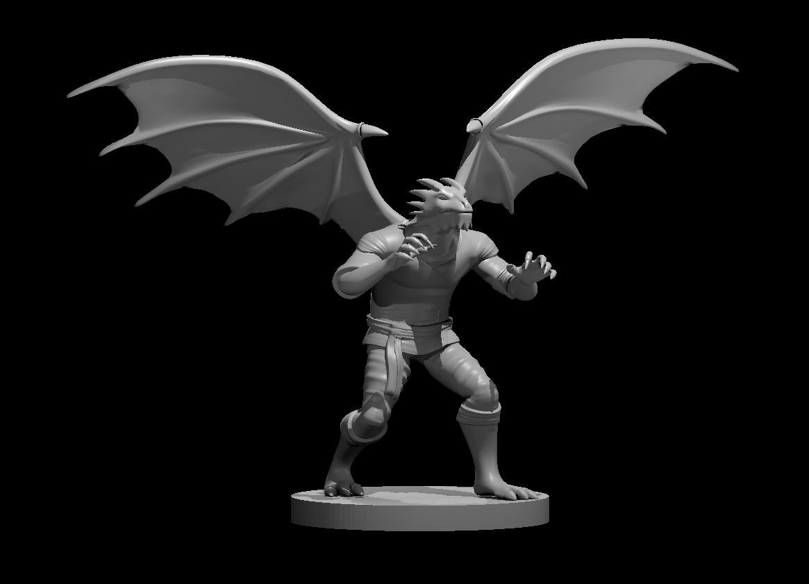 Dragonborn Monk with Wings - YourMiniature Tabletop Figuren