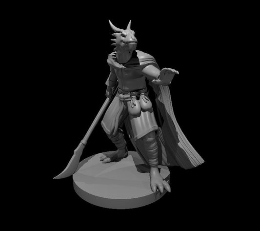 Dragonborn Sorcerer with Glaive - YourMiniature Tabletop Figuren