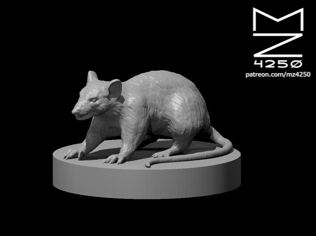 Giant Rat - YourMiniature Tabletop Figuren