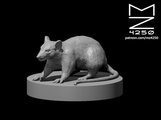 Giant Rat - YourMiniature Tabletop Figuren